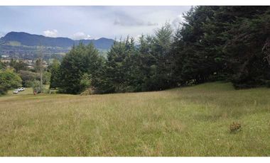 vendo lote en la Ceja Antioquia cerca al pueblo 15.000 m2