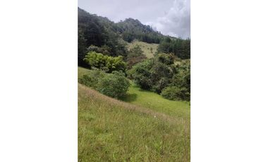 vendo lote en la Ceja Antioquia cerca al pueblo 15.000 m2