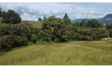 vendo lote en la Ceja Antioquia cerca al pueblo 15.000 m2
