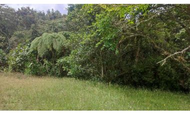 vendo lote en la Ceja Antioquia cerca al pueblo 15.000 m2