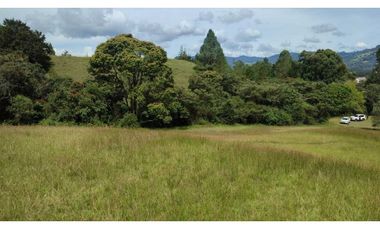 vendo lote en la Ceja Antioquia cerca al pueblo 15.000 m2