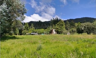 VENDO LOTE 4.400 M2 TENJO - SECTOR EL ESTANCO | 452 |