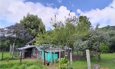 VENDO LOTE 4.400 M2 TENJO - SECTOR EL ESTANCO | 452 |