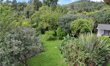 VENDO LOTE 4.400 M2 TENJO - SECTOR EL ESTANCO | 452 |