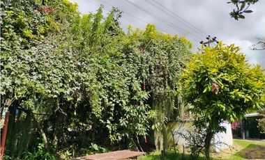 VENDO LOTE 4.400 M2 TENJO - SECTOR EL ESTANCO | 452 |