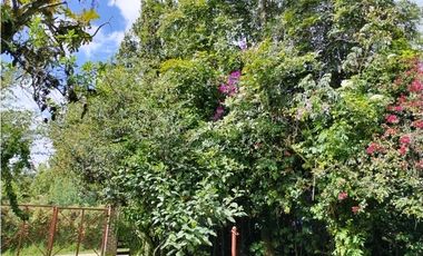 VENDO LOTE 4.400 M2 TENJO - SECTOR EL ESTANCO | 452 |