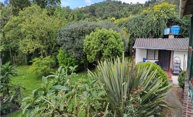 VENDO LOTE 4.400 M2 TENJO - SECTOR EL ESTANCO | 452 |