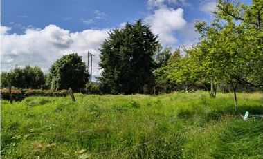 VENDO LOTE 4.400 M2 TENJO - SECTOR EL ESTANCO | 452 |