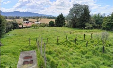 VENDO LOTE 4.400 M2 TENJO - SECTOR EL ESTANCO | 452 |