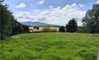 VENDO LOTE 4.400 M2 TENJO - SECTOR EL ESTANCO | 452 |