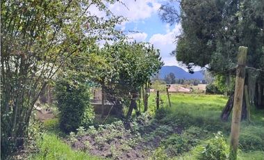 VENDO LOTE 4.400 M2 TENJO - SECTOR EL ESTANCO | 452 |