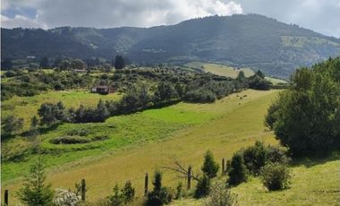 VENDO TERRENO 5 FANEGADAS - GUATAVITA  455 |
