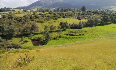 VENDO TERRENO 5 FANEGADAS - GUATAVITA  455 |