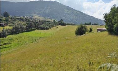 VENDO TERRENO 5 FANEGADAS - GUATAVITA  455 |