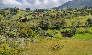 VENDO TERRENO 5 FANEGADAS - GUATAVITA  455 |
