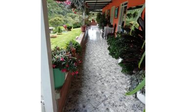 VENTA DE FINCA VIA LA CEJA - SAN JOSE
