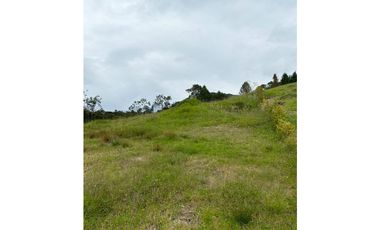 Venta Lote - La Ceja