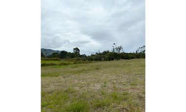 Venta Lote - La Ceja