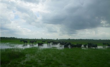 Venta Finca para ganaderia, Cumaribo