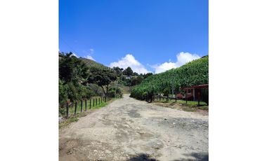 Vendo finca  en Sonsón Antioquia, oriente antioqueño
