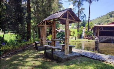 Vendo finca  en Sonsón Antioquia, oriente antioqueño