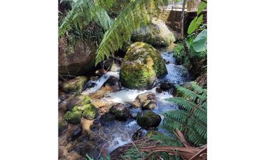Vendo finca  en Sonsón Antioquia, oriente antioqueño