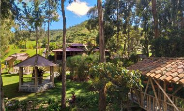 Vendo finca  en Sonsón Antioquia, oriente antioqueño