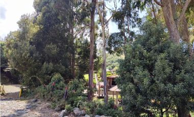 Vendo finca  en Sonsón Antioquia, oriente antioqueño