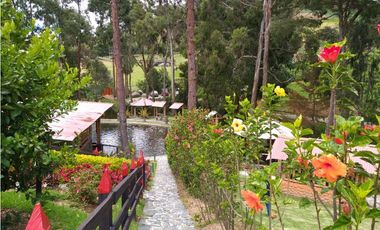 Vendo finca  en Sonsón Antioquia, oriente antioqueño