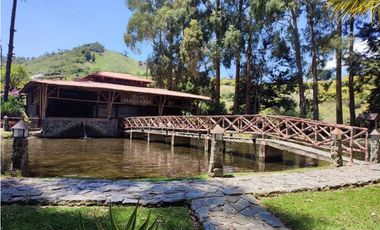 Vendo finca  en Sonsón Antioquia, oriente antioqueño
