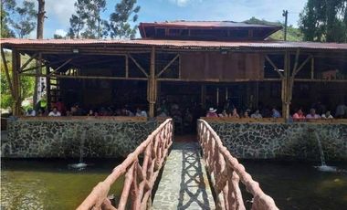 Vendo finca  en Sonsón Antioquia, oriente antioqueño