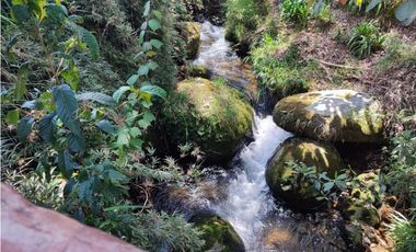Vendo finca  en Sonsón Antioquia, oriente antioqueño