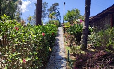 Vendo finca  en Sonsón Antioquia, oriente antioqueño