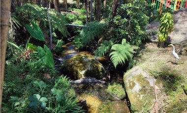 Vendo finca  en Sonsón Antioquia, oriente antioqueño