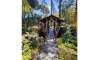 Vendo finca  en Sonsón Antioquia, oriente antioqueño