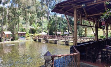 Vendo finca  en Sonsón Antioquia, oriente antioqueño