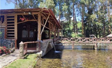 Vendo finca  en Sonsón Antioquia, oriente antioqueño