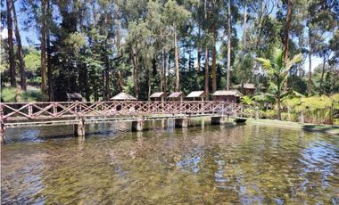 Vendo finca  en Sonsón Antioquia, oriente antioqueño