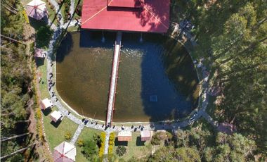 Vendo finca  en Sonsón Antioquia, oriente antioqueño