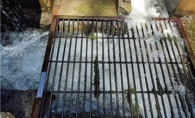 Vendo finca  en Sonsón Antioquia, oriente antioqueño