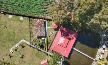 Vendo finca  en Sonsón Antioquia, oriente antioqueño