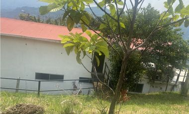 CASA CAMPESTRE-TERRENO PRODUCTIVO NOCAIMA