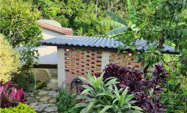 MESITAS DEL COLEGIO - FINCA AGROECOLOGICA