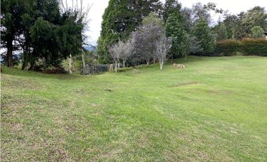 VENTA DE LOTE EN EL RETIRO SECTOR FIZEBAD