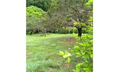 Lote venta Jamundi