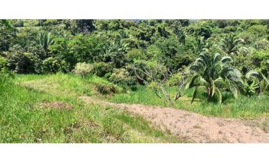 Lote Económico En La Mesa Cundi En Condominio Sobre La Vía Principal