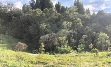 Venta Lote - Las Palmas - Medellín