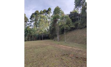 Lote en venta en Rionegro – vía - Aeropuerto.      LC