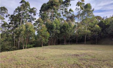 Lote en venta en Rionegro – vía - Aeropuerto.      LC