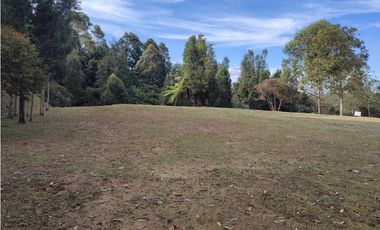 Lote en venta en Rionegro – vía - Aeropuerto.      LC
